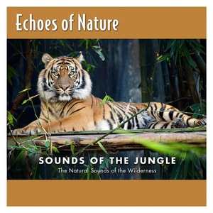 久久久久久久久久久久久久久久久久久久
